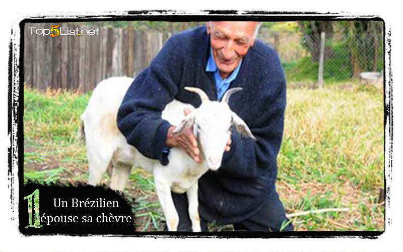 Un Brézilien épouse sa chèvre