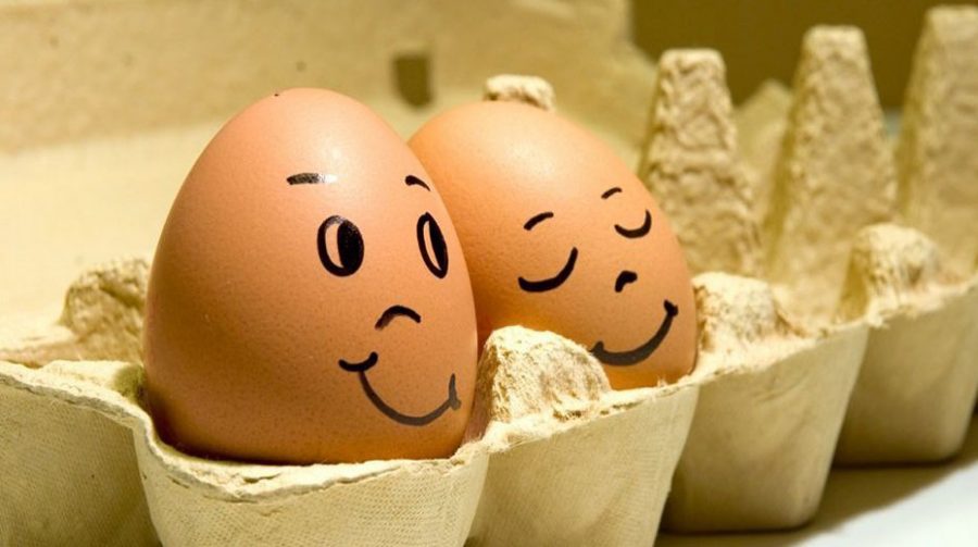5 things to notice when you eat two eggs per day